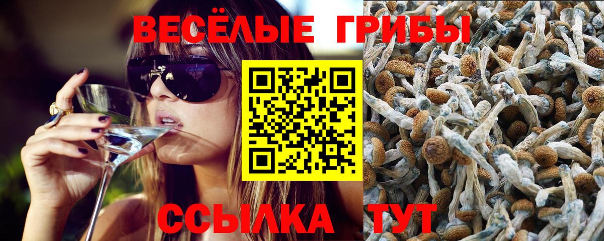 Галлюциногенные грибы GOLDEN TEACHER Снежинск