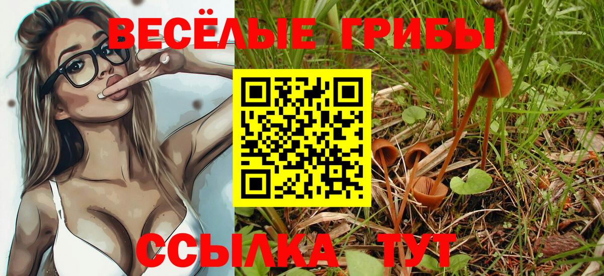 Псилоцибиновые грибы Magic Shrooms  Вход с VPN  Снежинск 